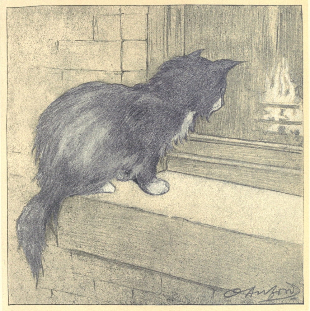 The Rubaiyat of a Persian Kitten 1906 Looking warm Canvas Art - Oliver Herford (18 x 24)