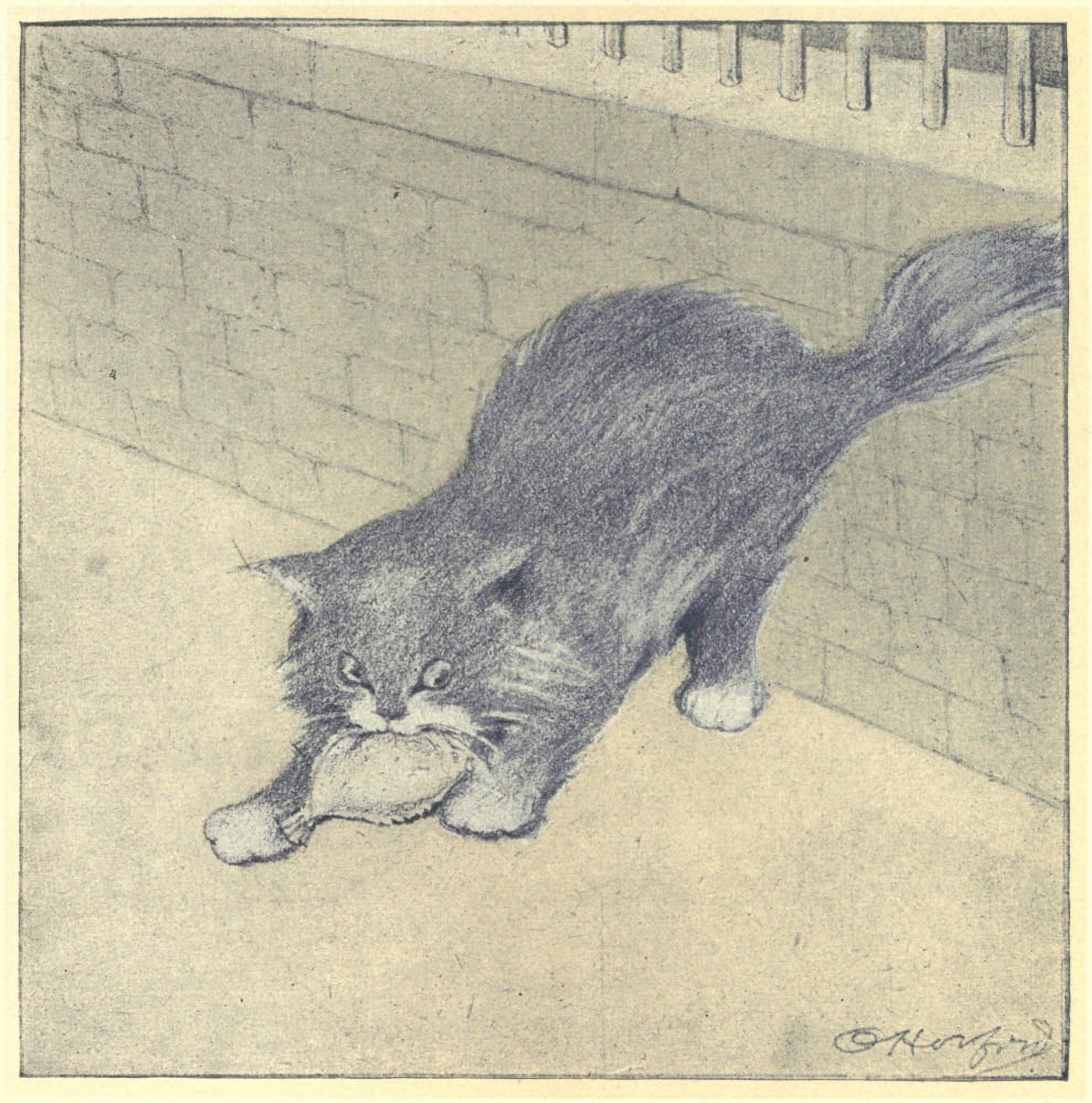The Rubaiyat of a Persian Kitten 1906 Stealing a fish Canvas Art - Oliver Herford (18 x 24)
