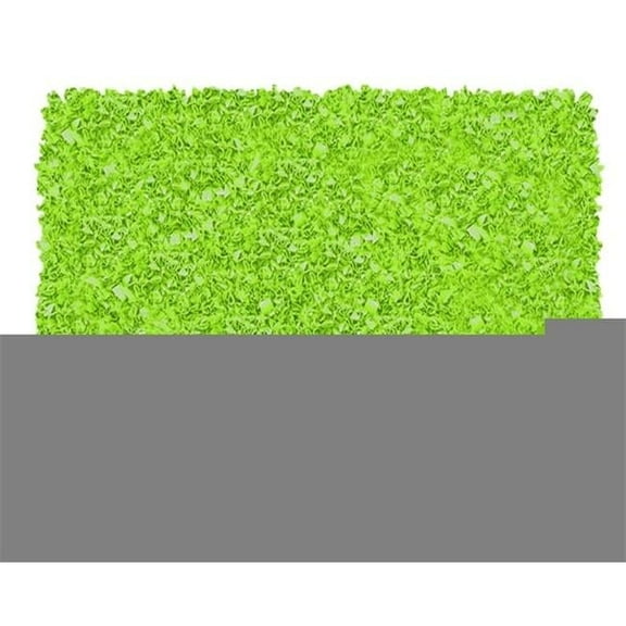 The Rug Market 02219D 4-SHAGGY RAGGY LIME LIME 4.7X7.7