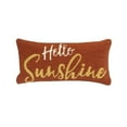 thumbnail image 1 of The Rug Market 25982P 12 x 24 in. Hello Sunshine Pillow - Citrus, 1 of 1