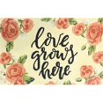 thumbnail image 1 of The Rug Market 26410B 30 x 48 in. Love Grows Here Rug, 1 of 1
