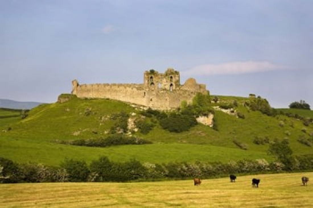 The Ruined walls of Roche Castle County Louth Ireland Canvas Art - Panoramic Images (16 x 11)