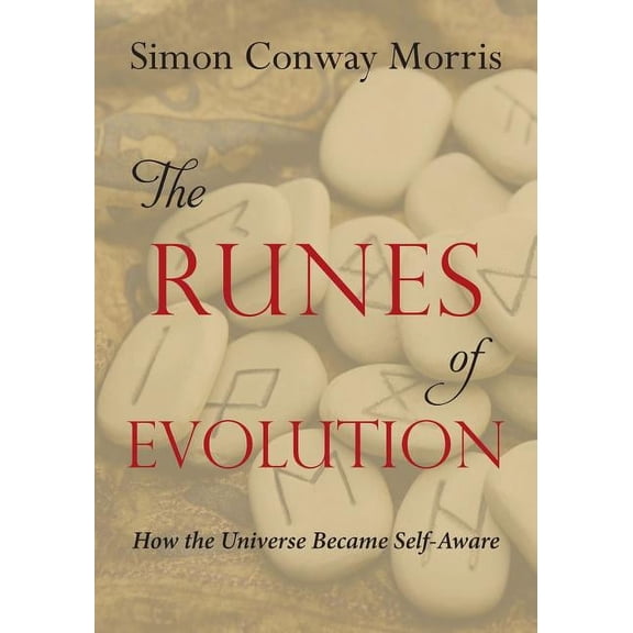 The Runes of Evolution : How the Universe became Self-Aware (Paperback)