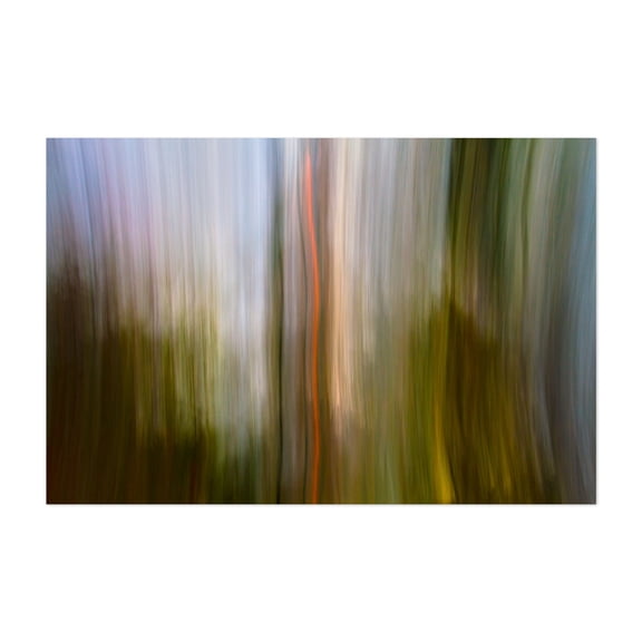 The Rush Of Synapses Firing - Photography Abstract Nature Forest Surrealism Minimalist Modern Art Psychedelic Unframed Wall Art Print 16 x 24 inches