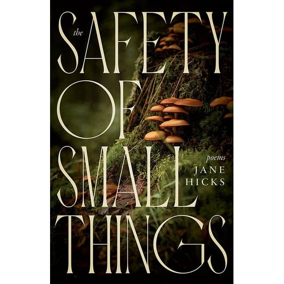 The Safety of Small Things (Hardcover)
