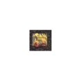 thumbnail image 1 of Pre-Owned The Salamander Room (Hardcover) 0394929454 9780394929453, 1 of 1
