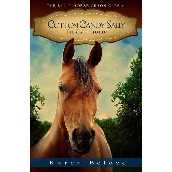 The Sally Horse Chronicles: Cotton Candy Sally Finds a Home (Paperback)