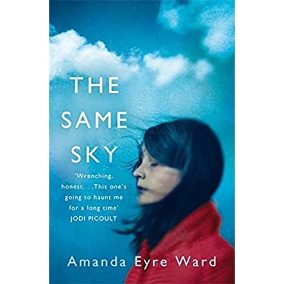Pre-Owned The Same Sky (Paperback) 9780349134321