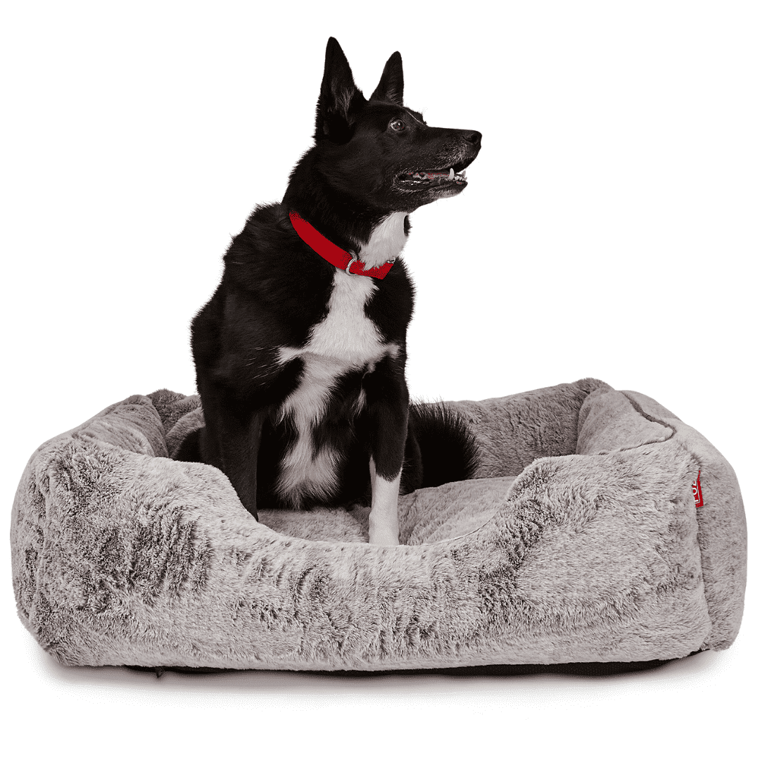 Medium Light Grey Orthopedic Chew Resistant Dog Bed