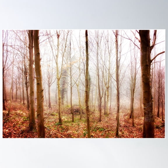 The Sapling Nursery Poster Wall Art, Modern Wall Decor For Living Room Bedroom, 8x12 UNFRAMED