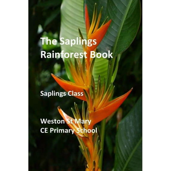 The Saplings Rainforest Book, (Paperback)