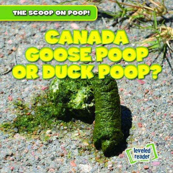 The Scoop on Poop!: Canada Goose Poop or Duck Poop? (Hardcover)