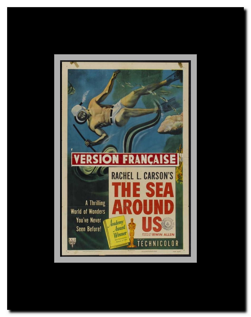 The Sea Around Us Framed Movie Poster