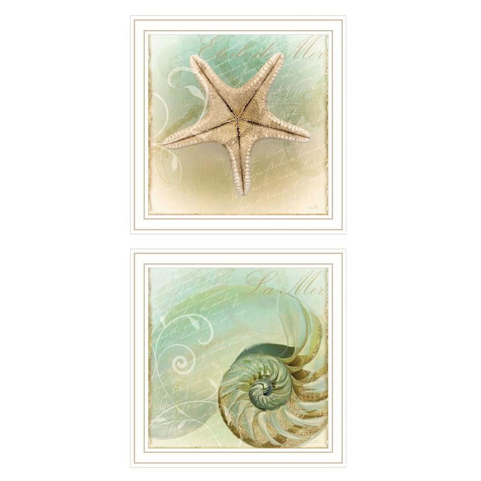 Coastal Seashell Teal and Gold Framed Print Set