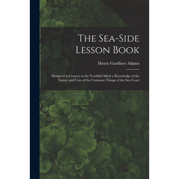 The Sea-Side Lesson Book, (Paperback)