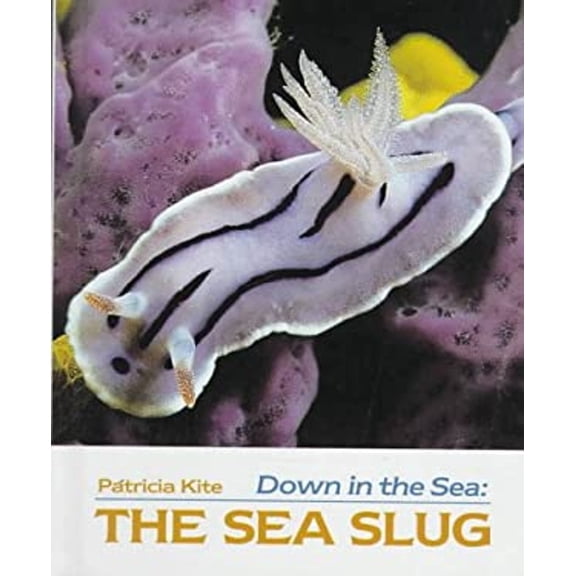 Pre-Owned The Sea Slug (Library Binding) 0807517178 9780807517178
