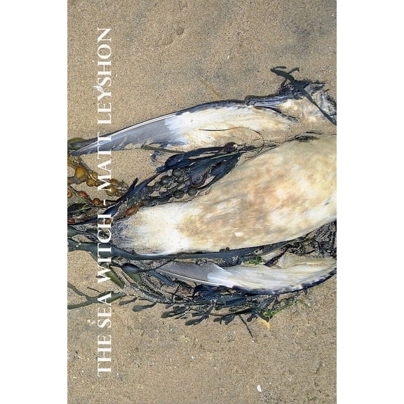 The Sea Witch (Paperback)