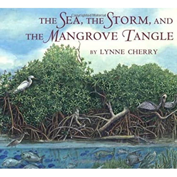 Pre-Owned The Sea, the Storm, and the Mangrove Tangle (Hardcover) by Lynne Cherry