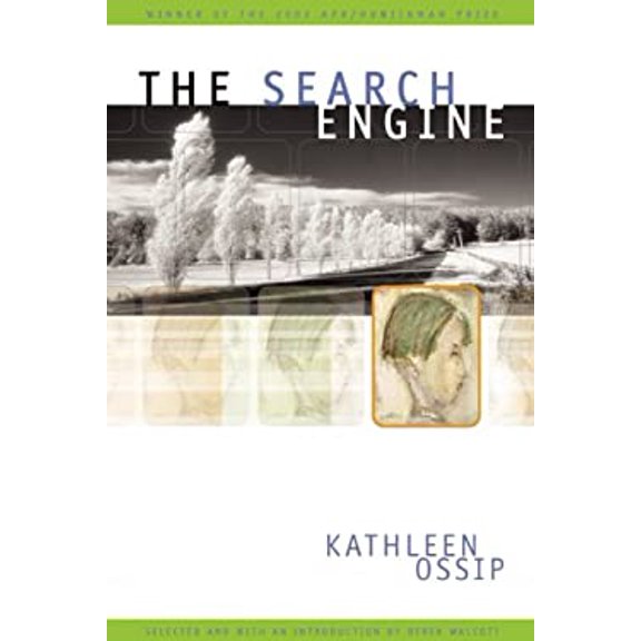 Pre-Owned The Search Engine (Paperback) 0971898111 9780971898110