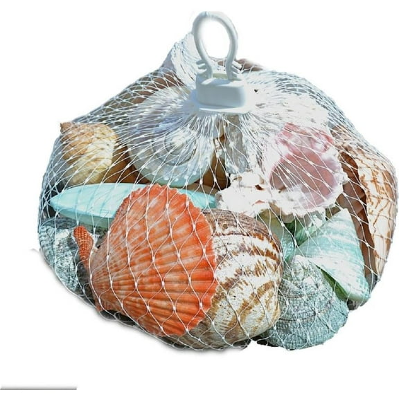 The Seashell Company Polished White Shells in a Plastic Net Hanger Bag (2 bags), Beach Tiki Decor, Craft Shells Coastal Ocean Dcor