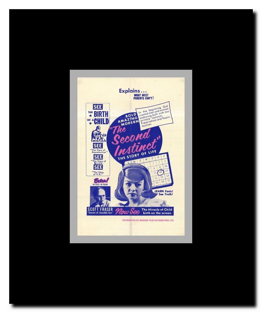 The Second Instinct Framed Movie Poster