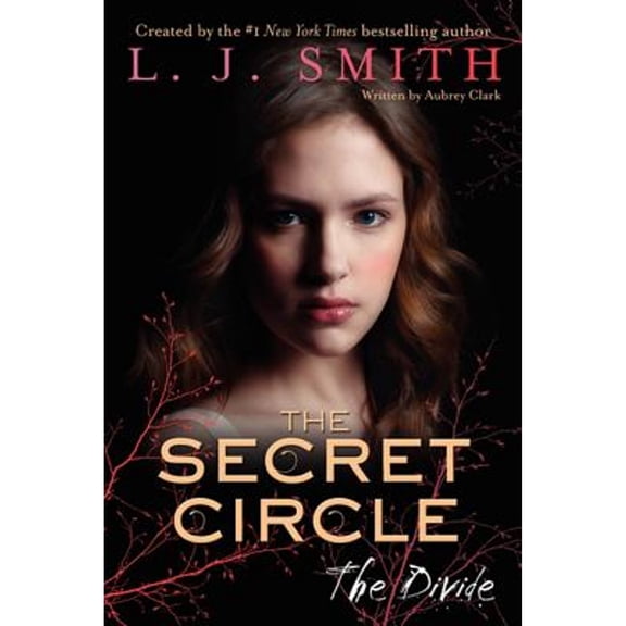 Pre-Owned The Secret Circle: The Divide, 9780062130396, 0062130390, Hardcover,
