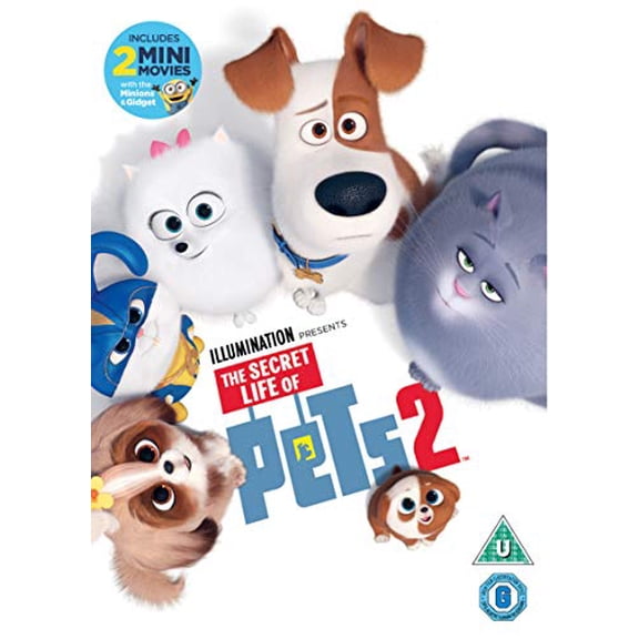The Secret Life Of Pets 2 [DVD]