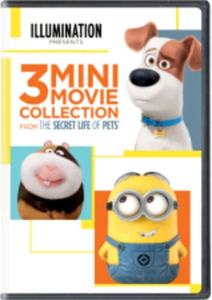 Mini Dvd