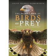 The Secret Life of Birds of Prey Hardcover