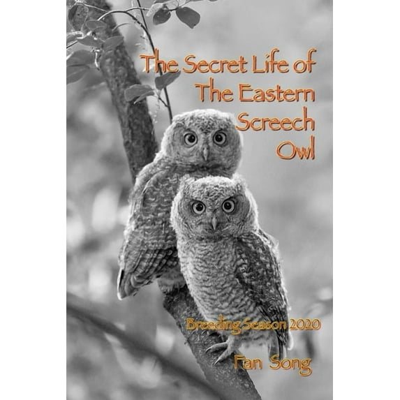 Trilogy: The Secret Life of the Eastern Screech Owl, Prequel, and Sequel: The Secret Life of Eastern Screech Owl (Paperback)