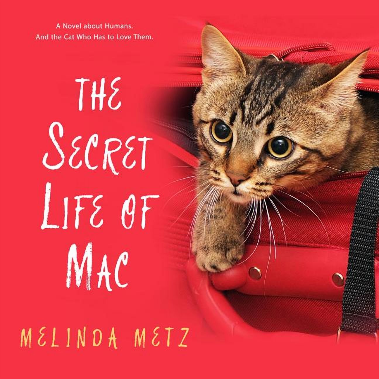 The Secret Life of Mac (Audiobook)
