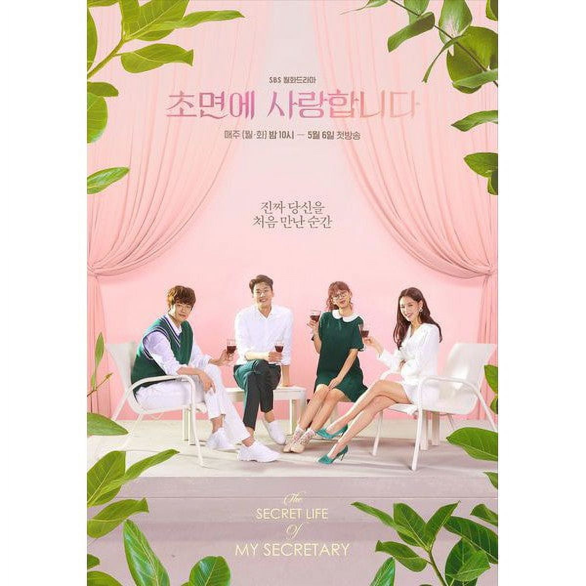 The Secret Life of My Secretary Korean TV Series - Drama DVD (NTSC