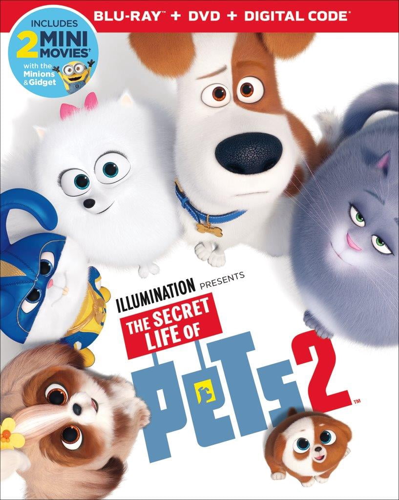 Universal Studios Super Blu-ray Movie: The Secret Life of Pets 2 (Blu ...