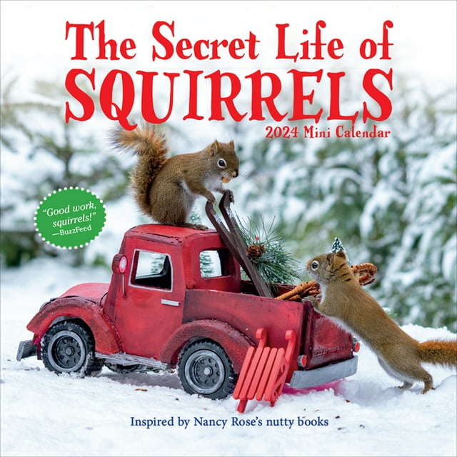 The Secret Life Of Squirrels Calendar 