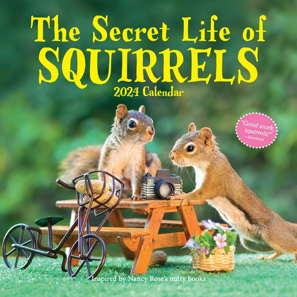 The Secret Life of Squirrels Wall Calendar 2024 A Year of Wild