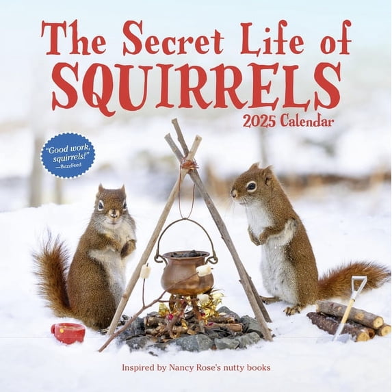 The Secret Life of Squirrels Wall Calendar 2025, (Paperback)