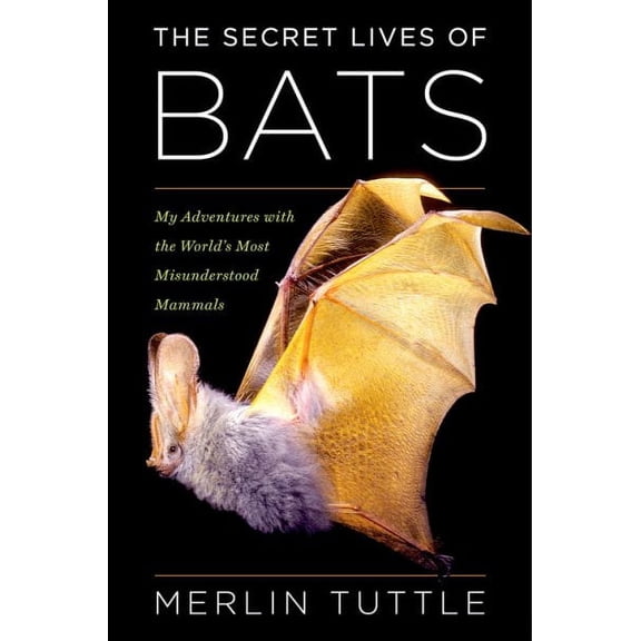 The Secret Lives of Bats
