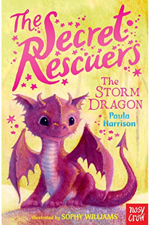 Pre-Owned The Secret Rescuers: The Storm Dragon (Paperback) 0857634771 9780857634771