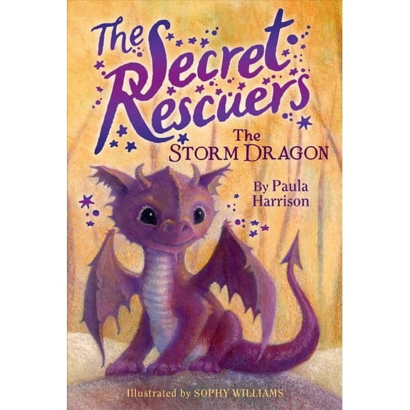 The Secret Rescuers: The Storm Dragon (Series #1) (Paperback)