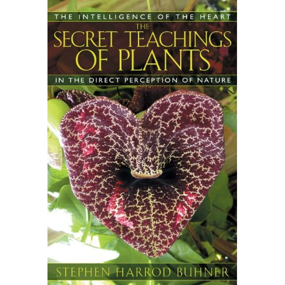Pre-Owned Secret Teachings Of Plants : The Intelligence Of The Heart In The Direct Perception Of Nature, Paperback by Buhner, Stephen Harrod, ISBN 1591430356, ISBN-13 9781591430353