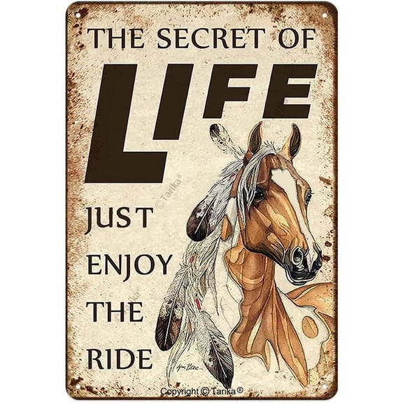 The Secret of Life Just Enjoy The Ride Iron Poster Painting Tin Sign Vintage Wall Decor for Cafe Bar Pub Home Beer Decoration Crafts