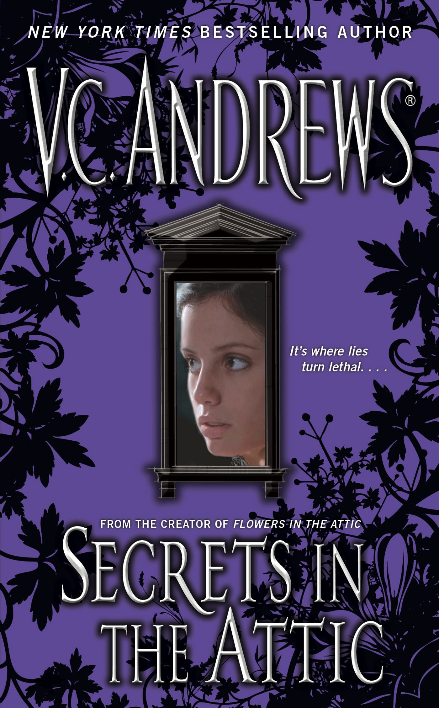 The Secrets Series: Secrets in the Attic (Paperback) - image 1 of 1
