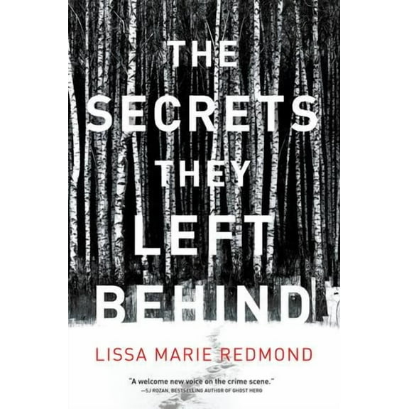 The Secrets They Left Behind : A Mystery (Paperback)