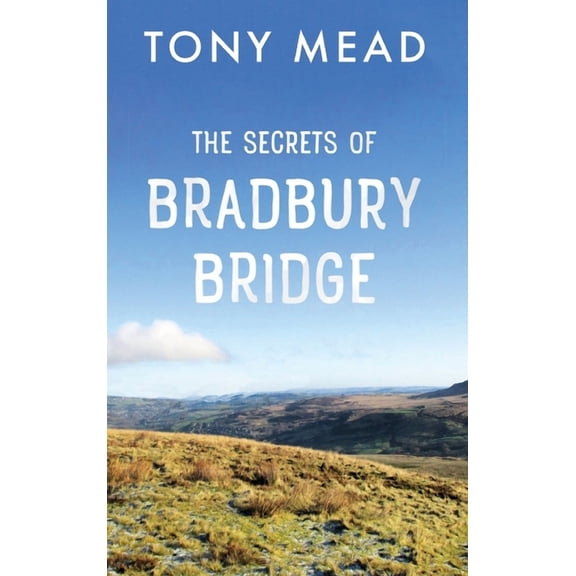 The Secrets of Bradbury Bridge (Hardcover)