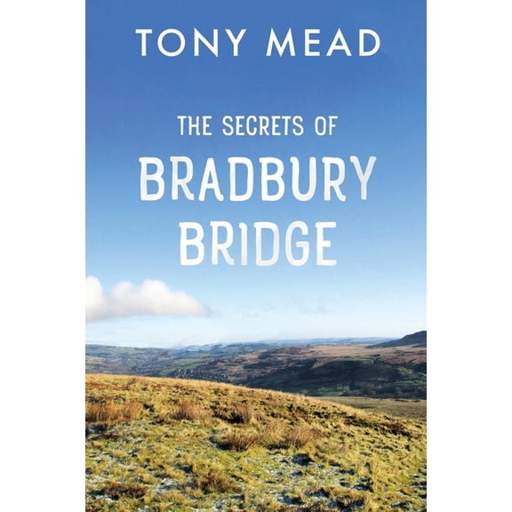 The Secrets of Bradbury Bridge (Paperback)