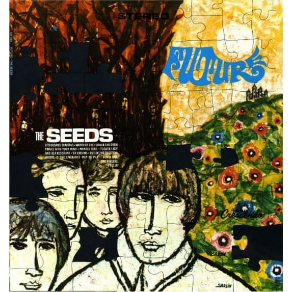 The Seeds - Future - Music & Performance - Vinyl