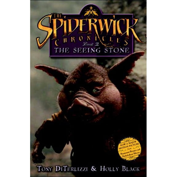 Pre-Owned The Seeing Stone. Tony Diterlizzi and Holly Black (Paperback) 1847381960 9781847381965