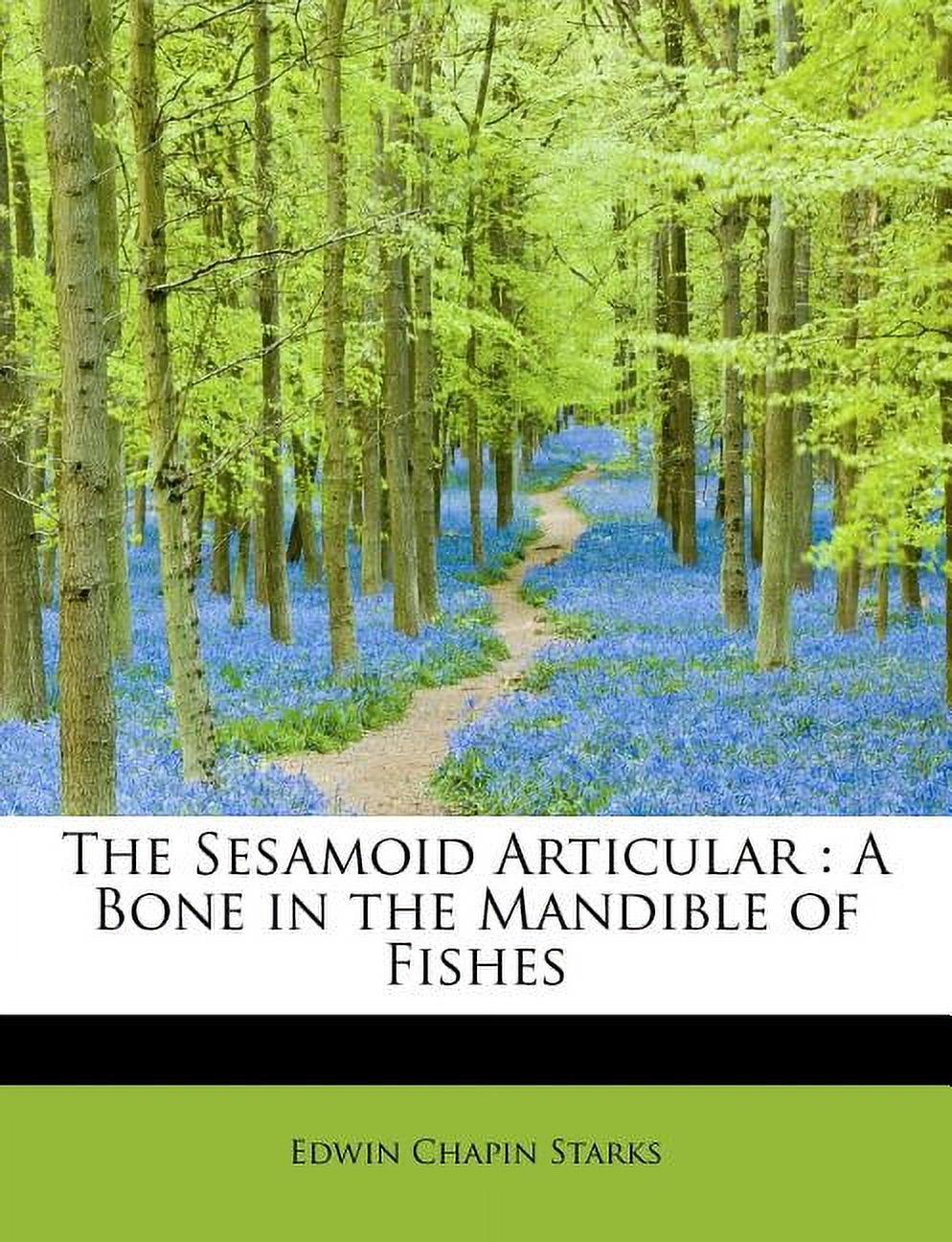 The Sesamoid Articular (Paperback)