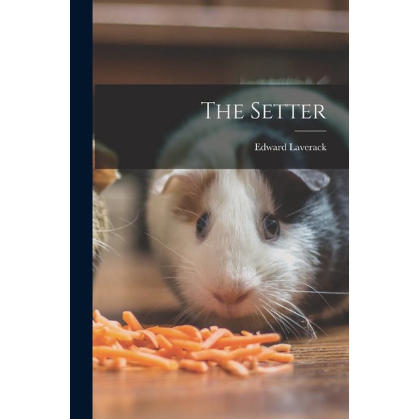 The Setter (Paperback) Walmart Business Supplies