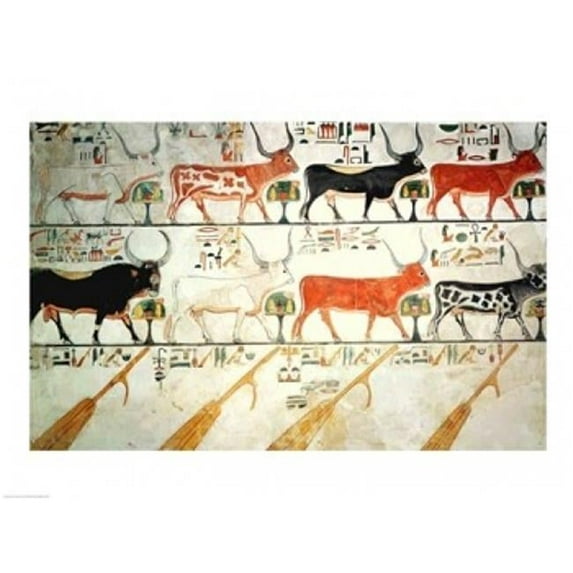 The Seven Celestial Cows & The Sacred Bull & The Four Rudders of Heaven Poster Print - 36 x 24 in. - Large